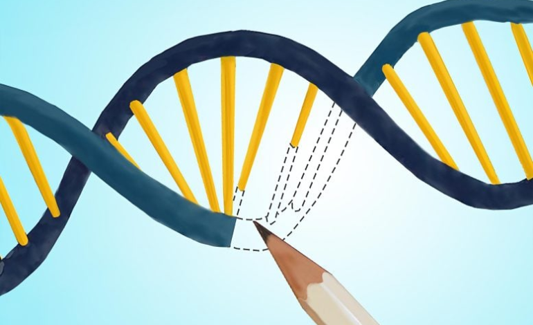 Cutting-Edge CRISPR: Princeton Researchers Develop a More Precise Gene-Editing Tool